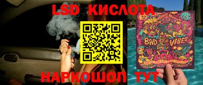 ешки Можга